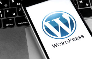 shutterstock 1730894533 300x194 - Wordpress,Logo,On,The,Screen,Smartphone,Closeup.,Wordpress,-,Open